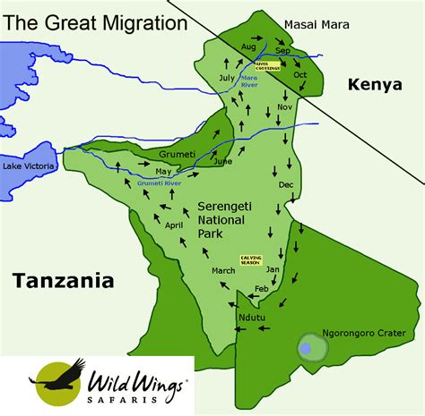 greater serengeti migration area tanzania