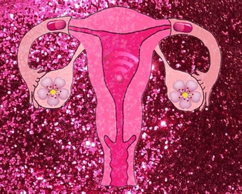 fallopian tubes s find and share on giphy