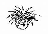 Coloring Houseplant Plant House Drawing Large Getdrawings sketch template