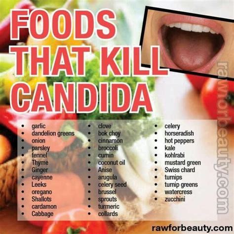 Candida Symptoms And Treatment Guide The Whoot Tomato Nutrition
