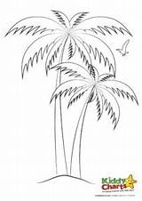 Palm Tree Sheet Date Colouring Coloring Trees Pages Template Click sketch template