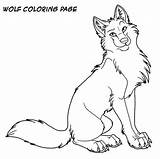Wolf Sitting Coloring Down Color Pages sketch template