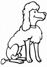 Poodle Coloring Pages Print sketch template