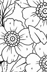 Coloring Anemone sketch template