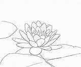 Lotus Choose Board Sketches sketch template