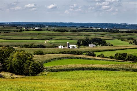 images landscape nature grass marsh farm lawn meadow