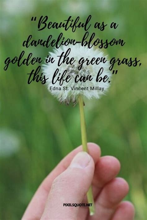 dandelion quotes with beautiful images pixelsquote