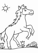 Pferd Pferde Ausmalen Malvorlage Pferdebilder Schnee Ponys Bibi Ausmalbild Fohlen Kinderbilder Kostenlose Pferden Einem Basteln Pferdekopf Pferdebild Pony Zeichnen Mädchen sketch template