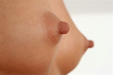 Perky Nipples Pics 9 Pic Of 47