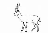 Gazelle Easyanimals2draw sketch template