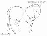 Shetland Shetlandpony Ponies Ausmalbilder sketch template