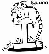 Iguana Coloring Pages Drawing Kids Color Getdrawings sketch template