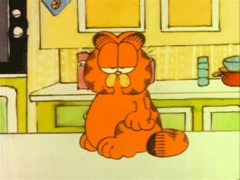40 Years Later Garfield Is Increasingly Relevant For