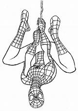 Spiderman Coloring Pages Spider Man Printable Upside Down Hanging Superhero Color Print A4 sketch template