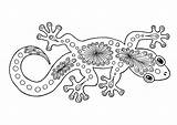 Gecko Malvorlagen Malvorlage Kinderbilder sketch template