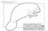 Coloring Pages Manatees Clipart Library Line Popular sketch template