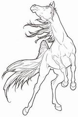 Rearing Pferde Pferd Steigendes Cheval Arabian Deviantart Ausmalen Skizze Lineart Pencil Zeichnen Unicorn Pferdekopf Ausmalbild Malvorlage Geniales Pferdezeichnungen Zum Arabische sketch template