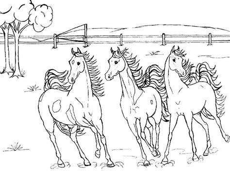 realistic horse jumping coloring pages printable coloring sheet