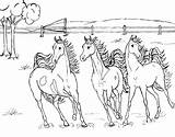 Coloring Horse Pages Printable Jumping Realistic Sheet sketch template