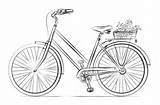 Draw Bicycle Coloring Drawing Basket Bike Step Pages Flower Flowers Supercoloring Mountain Sketch Tutorials Printable Bicycles Categories Comments sketch template