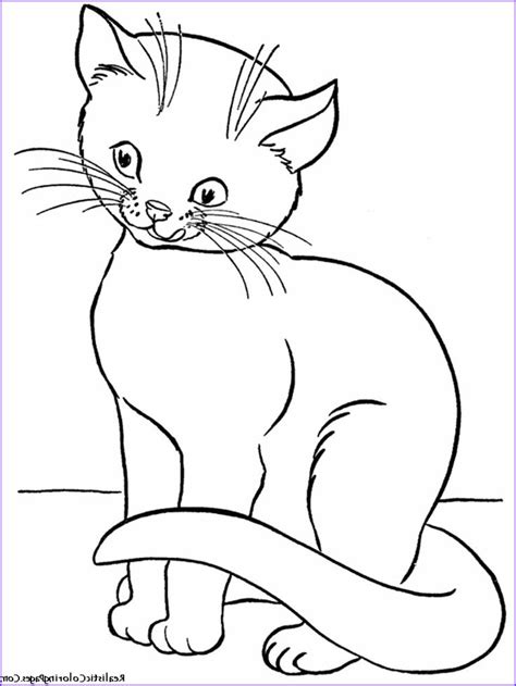 realistic coloring pages cats detskie raskraski raskraski