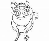 Pumbaa Coloring Pumba Pages Warthog Template sketch template