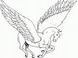 Pegasus Coloring Pages Unicorn Flying Printable Coloring4free Drawings Print Drawing Characters Kids Para Pegasos Colouring Adults Unicorns Wings Horse Filminspector sketch template