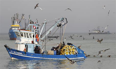 eu efforts  promote sustainable fishing struggle