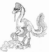 Oviraptor Avancna Bw sketch template