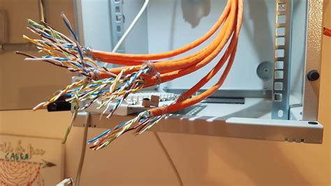 nachsicht dekrement klasse patchpanel kabel lebhaft affe hackfleisch