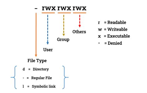 understanding file permissions  users  groups
