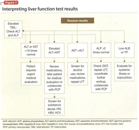 liver function test interpretation chaynukas