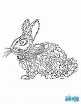 Rabbit Coloring Pages Mandala Colouring Cute Adult Choose Board Hellokids sketch template