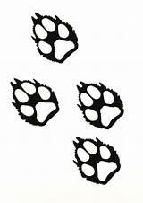 Wolf Paw Print Paws Clipart Tracks Prints Drawing Clip Silhouette Tattoo Pawprint Outline Wolves Drawings Google Set Silent Reindeer Cliparts sketch template