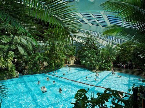 center parcs  subtropical swimming paradise images  pinterest paradise centre