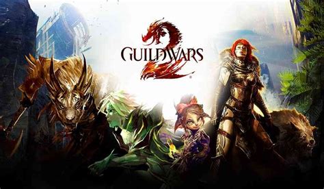 guild wars  studio update  insight  development  content