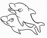 Dolphin Coloring Pages Baby sketch template