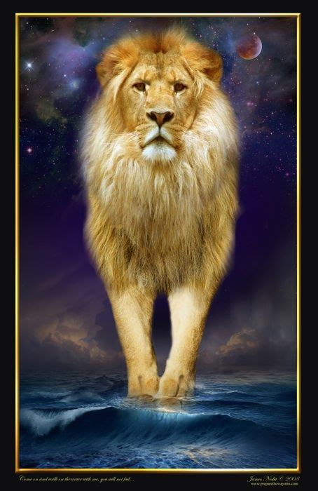 Lion Collection Prophetic Art Lion Of Judah Lion And Lamb