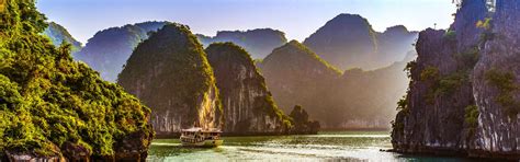 halong  tage erlebnis reise vietnam chamaeleon