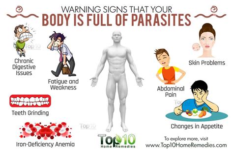 10 Warning Signs That Your Body Is Full Of Parasites Top 10 Home