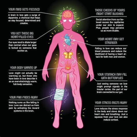 What Being In Love Does To Your Whole Body In One Stunning Infographic