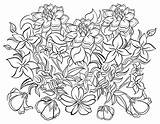 Coloring Flowers Printable Pages Amazingly Exquisite Book sketch template