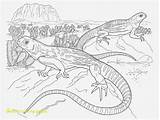 Desert Coloring Sonoran Pages Fascinating Animal Divyajanani sketch template