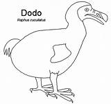 Dodo Sheet Netart Getcolorings sketch template