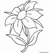 Flowers Pages Flower Coloring Drawing Printable Line Hibiscus Beautiful Color Clip Print Jasmine Summer Draw Outline Kids Drawings Sheets Templates sketch template