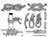 Knots Nautical sketch template