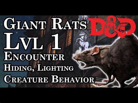 creating  level  encounter  dungeons  dragons   giant rats youtube