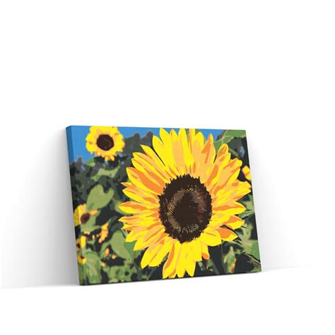schilderen op nummer zonnebloemen kopen kijk snel