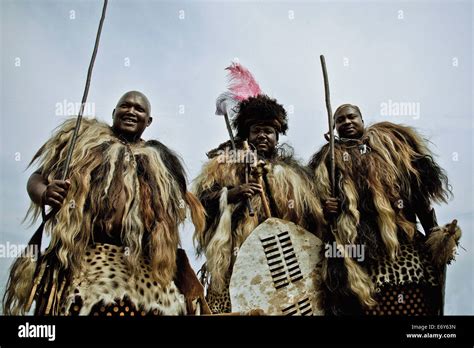 men   swazi tribe  traditional fur outfits  shields