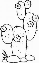 Kaktus Viva Wickedbabesblog Colorat sketch template